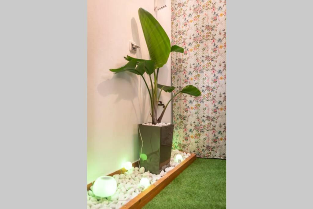 Salsalitre Chico Apartment การาชิโก ภายนอก รูปภาพ